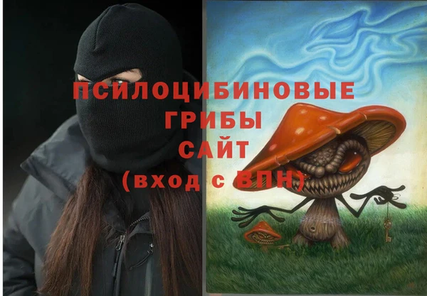 твердый Мегион