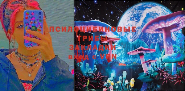 мдпв Михайловск