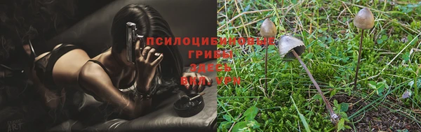 герыч Медвежьегорск